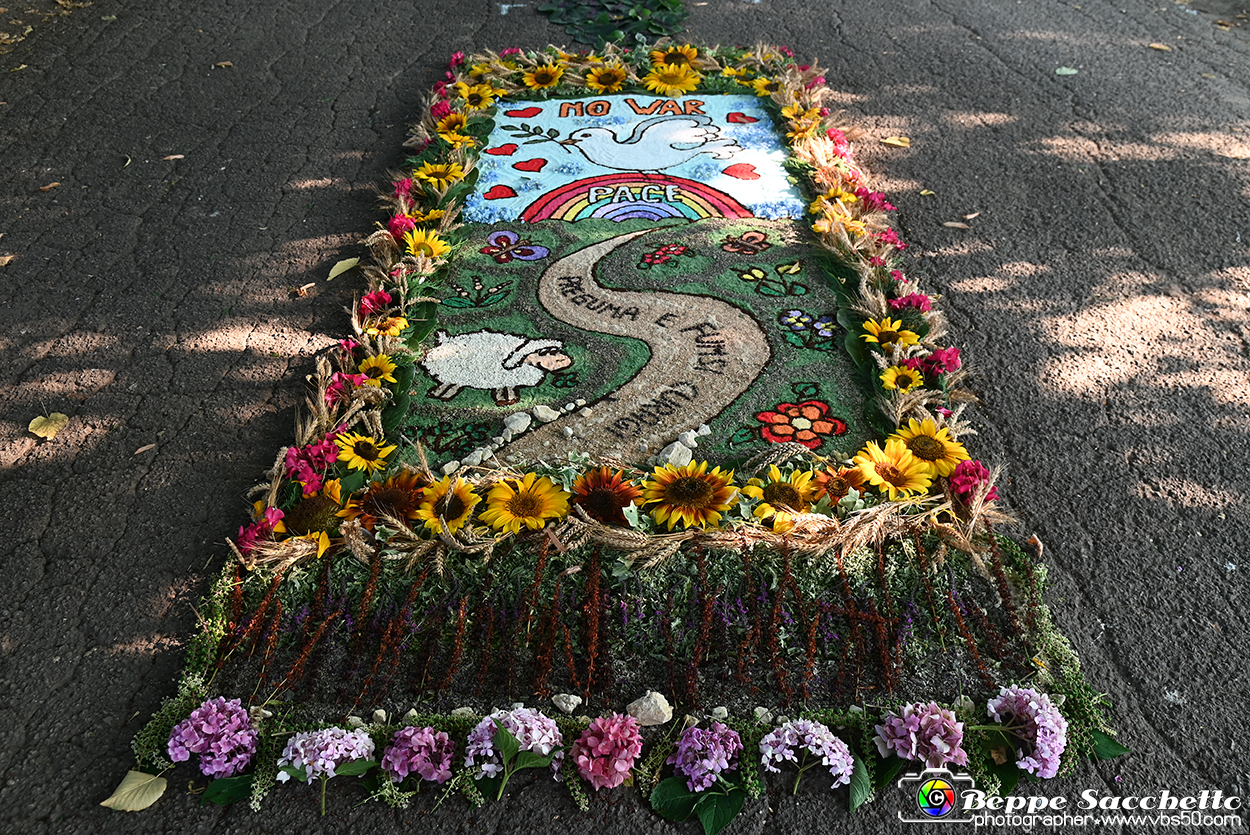 VBS_9767 - Infiorata Santuario della Madonnina di Villanova d'Asti 2024.jpg